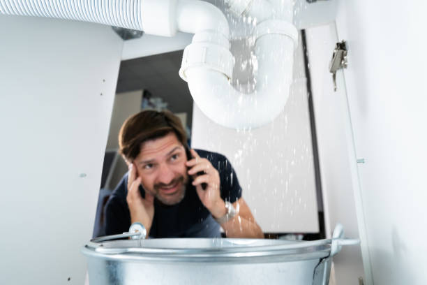 Best Best Plumbers Near Me  in Gray, TN